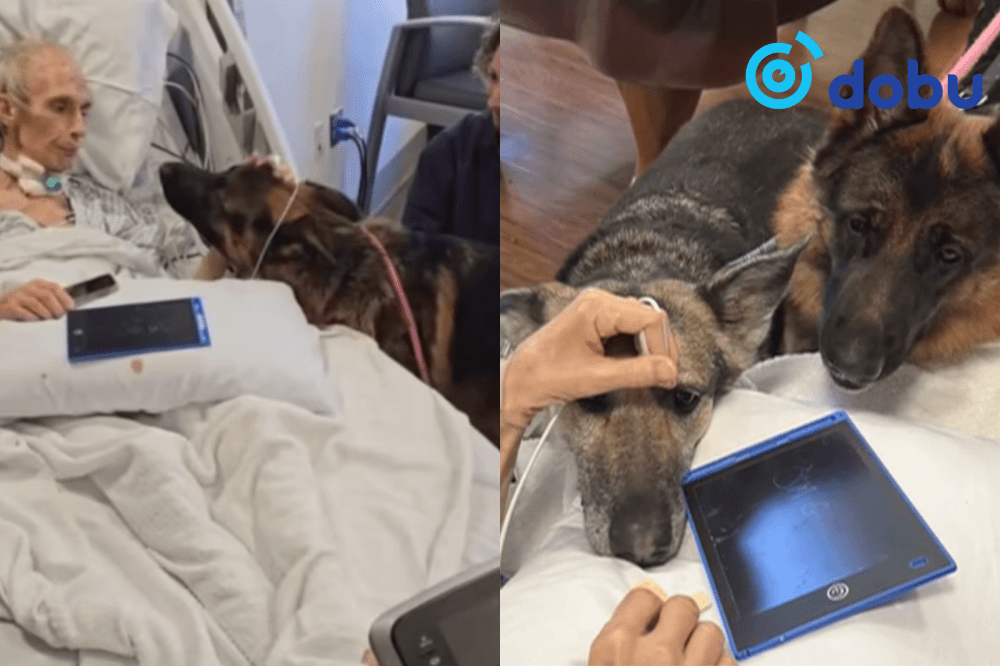 Эдгэршгүй өвчтэй эрийн сүүлчийн хүсэл биелжээ