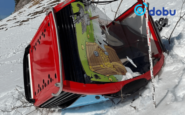 Швейцарт кабелийн дүүжин тээвэр унаж, нэг хүн амиа алджээ