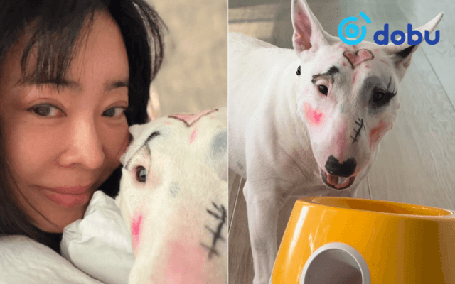 Солонгосын жүжигчин Ли Хе Ён амьтны эрхийн маргаанд өртөв