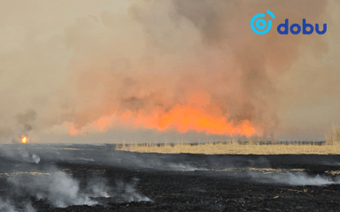 Ой, хээрийн 2 гал түймрийг унтраахаар ажиллаж байна