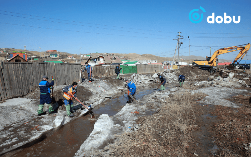 Нийслэлийн 19 байршилд халиа тошин үүсжээ