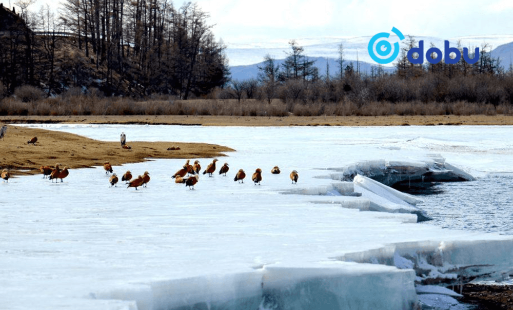 Өнөөдөр ихэнх нутгаар цаг агаар тогтуун байна