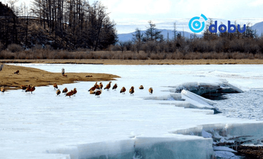 Өнөөдөр ихэнх нутгаар цаг агаар тогтуун байна