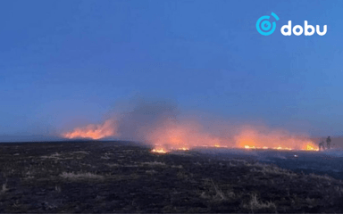 Дорнодод хээрийн түймэр гаргасан иргэнд 1 жилийн тэнсэн харгалзах ял оногдуулж, ₮7.6 саяын хохирлыг төлүүлэхээр шийдвэрлэжээ