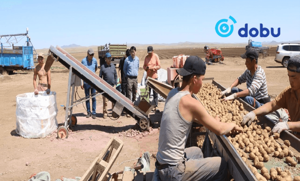 Ногоочид хүний нөөцийн дутагдлаа технологийн дэвшлээр нөхөж байна