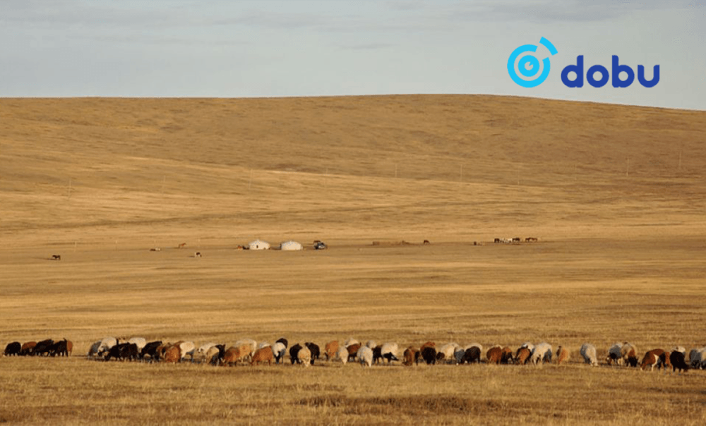 Нийт нутгийн 10 орчим хувьд бэлчээрийн ургамал цухуйгаагүй байна