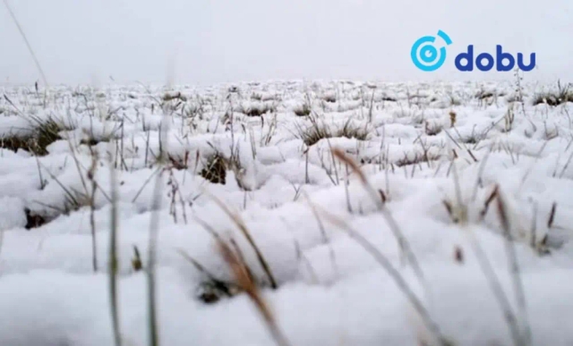 Нойтон цас орж, шороон шуургатай байна