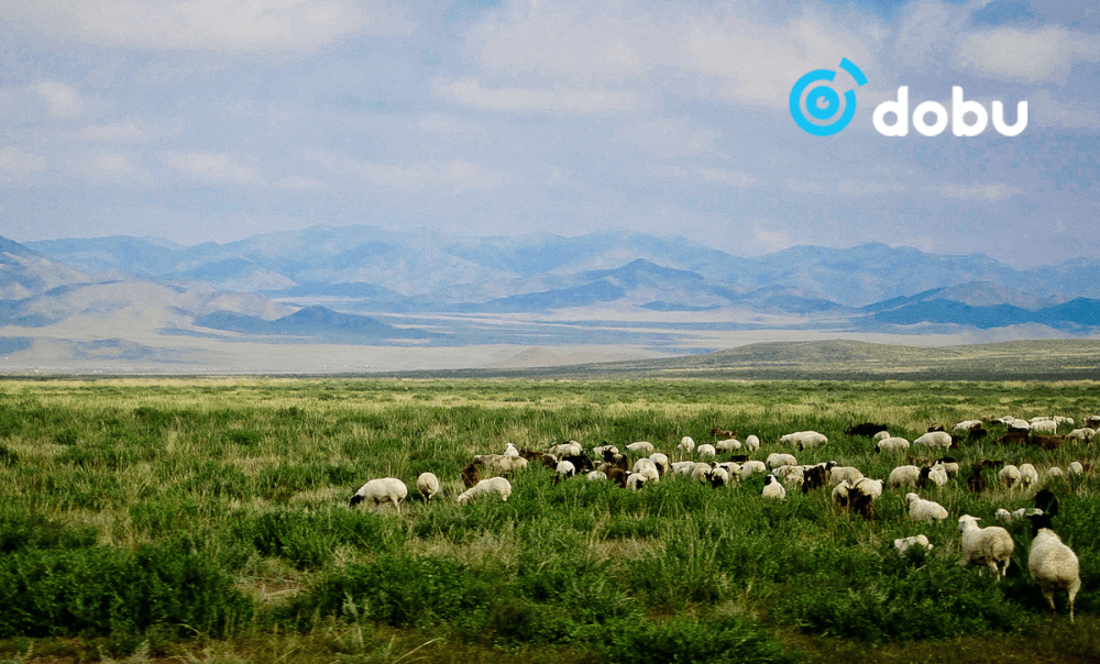 Энэ зун цаг агаар ОЖД-аас ДУЛААН байх төлөвтэй байна
