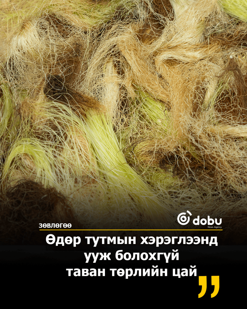 ЗӨВЛӨГӨӨ: Өдөр тутмын хэрэглээнд ууж болохгүй 5 төрлийн цай