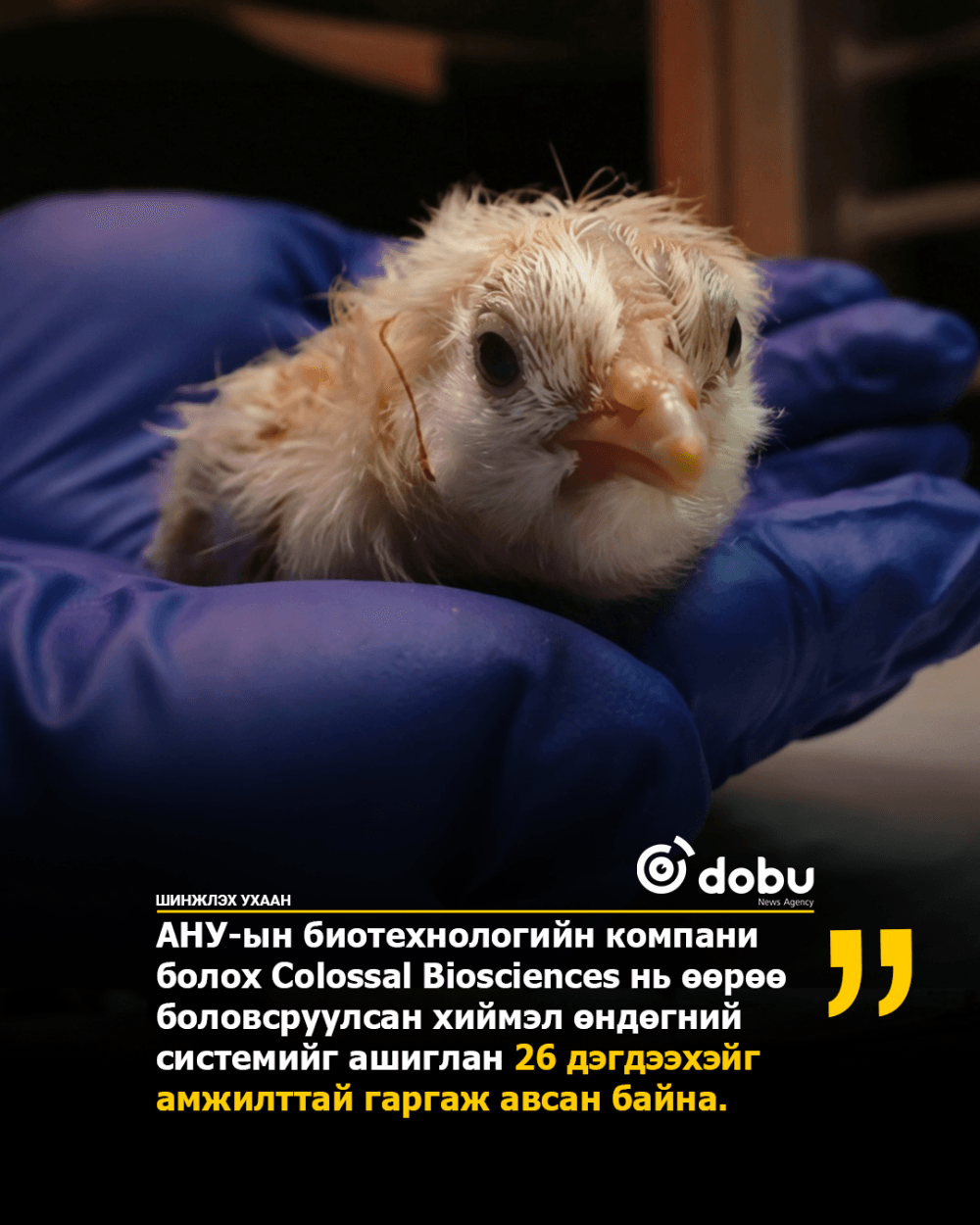 Хиймэл өндгөн эсээс дэгдээхэйнүүд мэндэлжээ