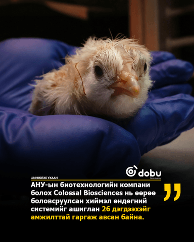 Хиймэл өндгөн эсээс дэгдээхэйнүүд мэндэлжээ