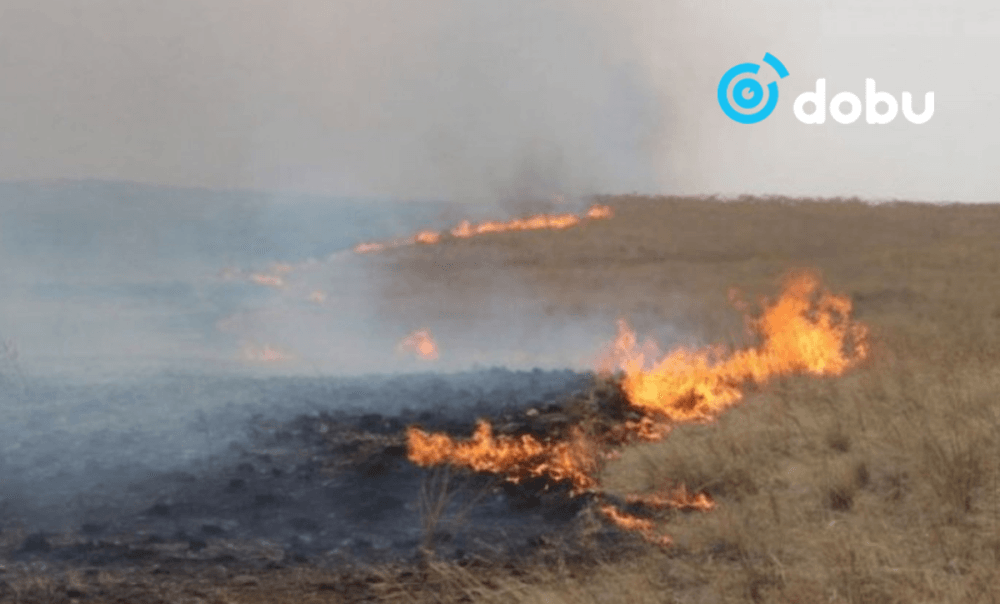 Хуурайшилтын үед ногоон бүсэд зөрчил гаргасан 20 гаруй иргэнийг 2 сая төгрөгөөр торгожээ