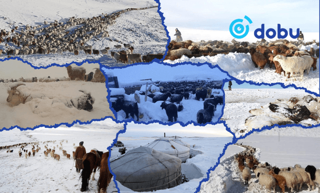 Малчид малын индексжүүлсэн даатгалын үр шимийг цаг ямагт санах хэрэгтэй