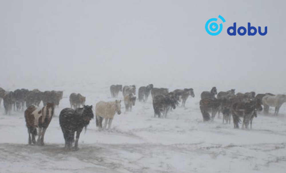 Булган, Сэлэнгэ, Дарханы нутгаар цасан шуургатай