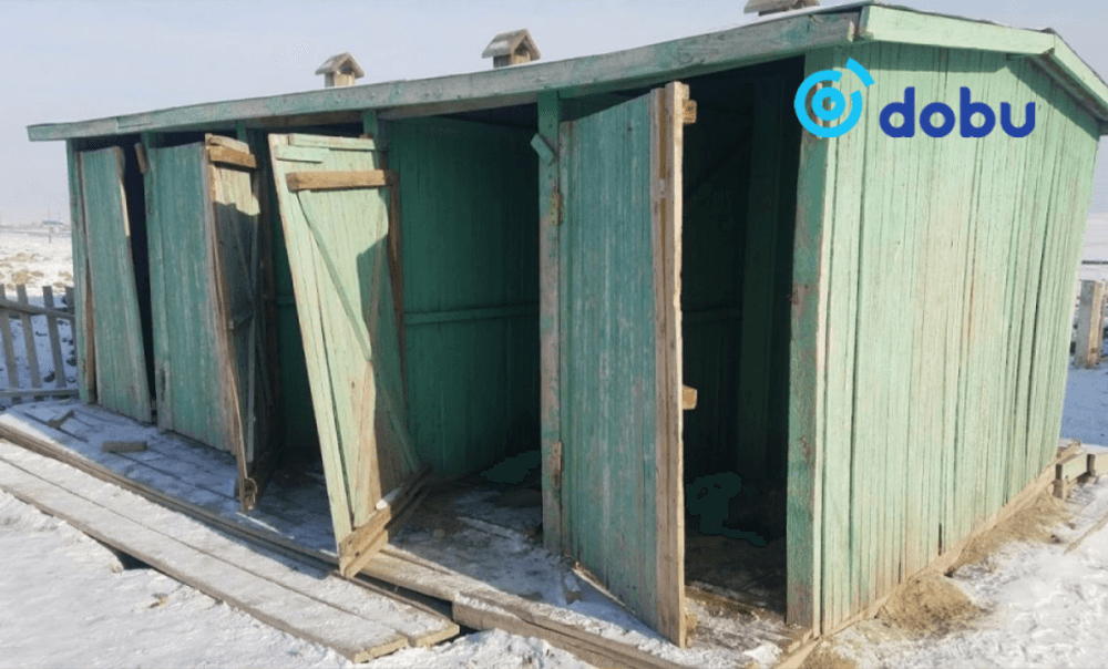 Өнөөдөр дэлхийн жорлонгийн өдөр тохиож байна