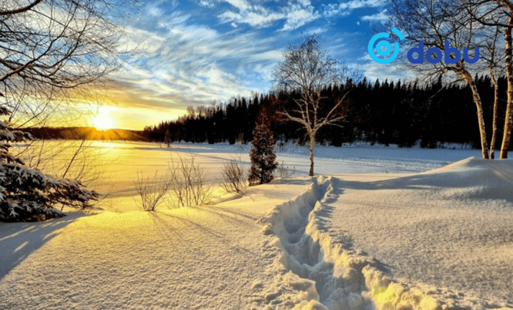 Ихэнх нутгаар цаг агаар тогтуун байна