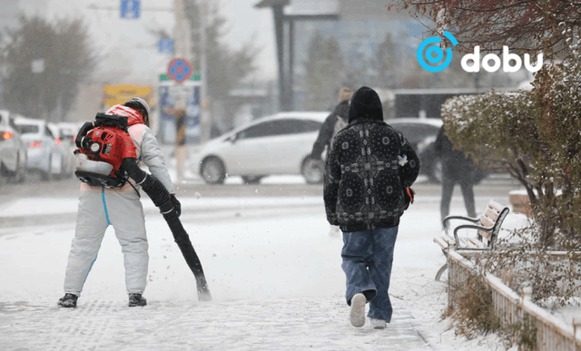 Нийт нутгийн 46 хувьд цастай байна