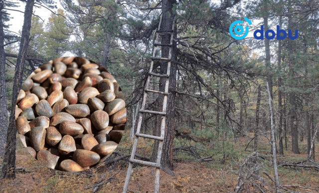 Төв аймгийн Мөнгөнморьт суманд алга болсон эрэгтэй нас барсан байдалтай олджээ
