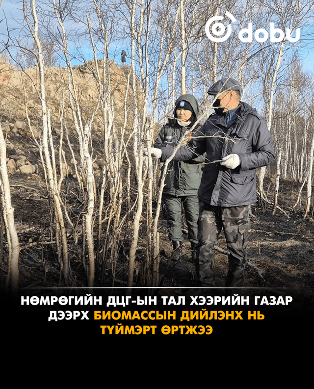 Нөмрөгийн ДЦГ-ын тал хээрийн газар дээрх биомассын дийлэнх нь түймэрт өртжээ