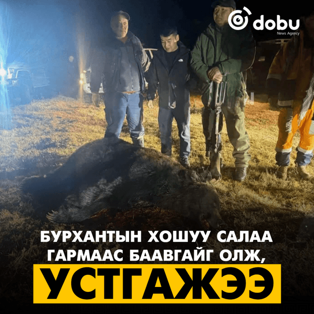 Бурхантын хошуу салаа гармаас баавгайг олж, устгажээ