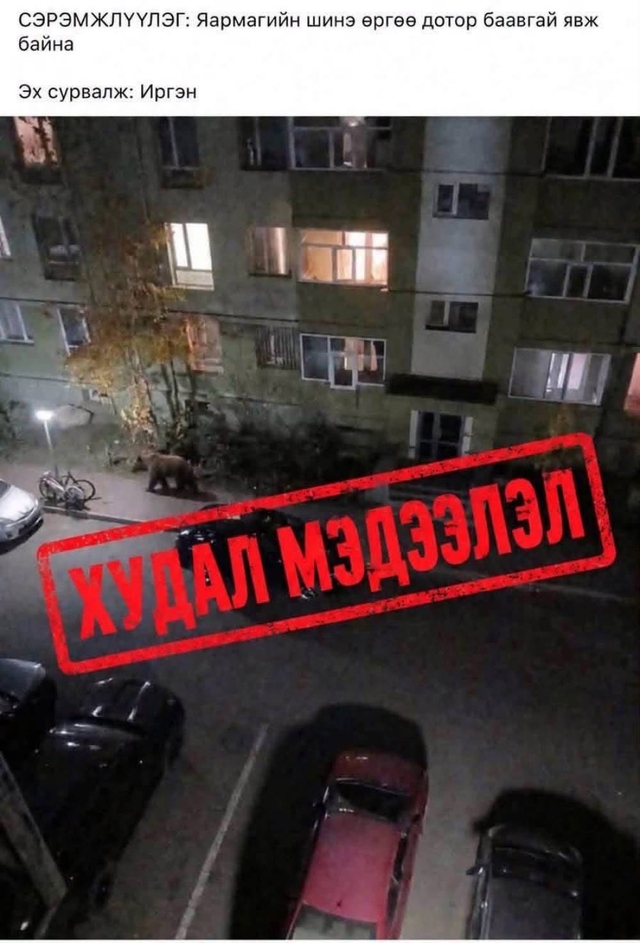 "Баавгай явж байна" гэж хуурамч зураг бүтээж, худал мэдээлэл түгээсэн иргэнд хариуцлага тооцлоо