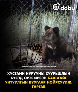 Улаанбаатарт өдөртөө 10 градус дулаан, хур тунадас орохгүй