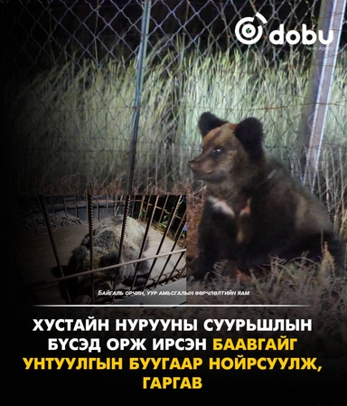 Улаанбаатарт өдөртөө 10 градус дулаан, хур тунадас орохгүй