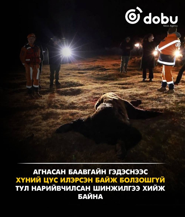 Баянзүрх дүүрэгт устгасан баавгайн гэдэснээс хүний цус илэрсэн байж болзошгүй тул нарийвчилсан шинжилгээ хийж байна