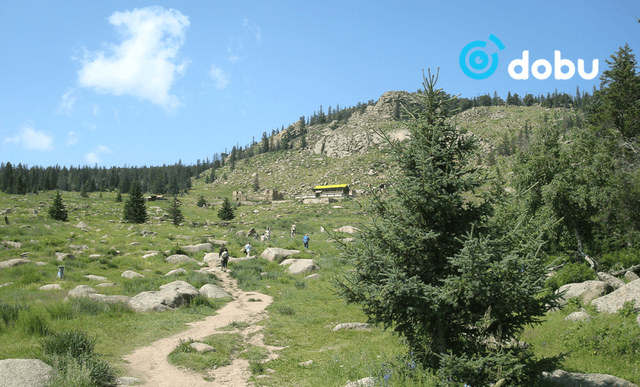 Богдхан ууланд төөрсөн иргэнийг олжээ