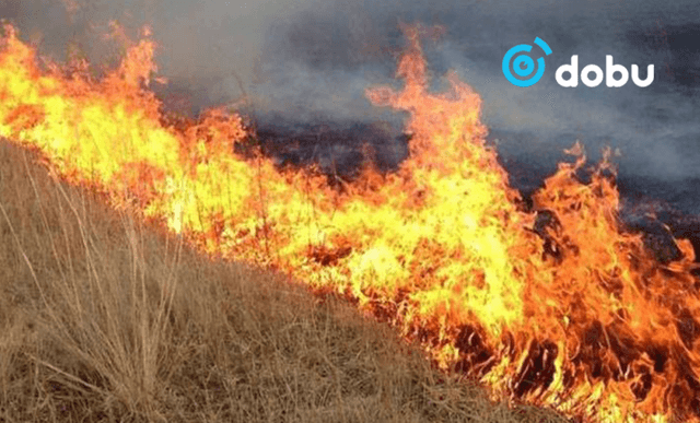 ОБЕГ: Дорнод аймагт гарсан хээрийн гал түймрийг бүрэн унтраалаа