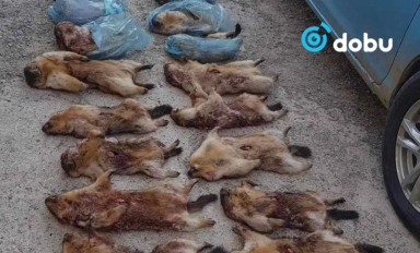 Тарваган тахлын нэгдүгээр хавьтлын 96 хүнийг тусгаарлажээ