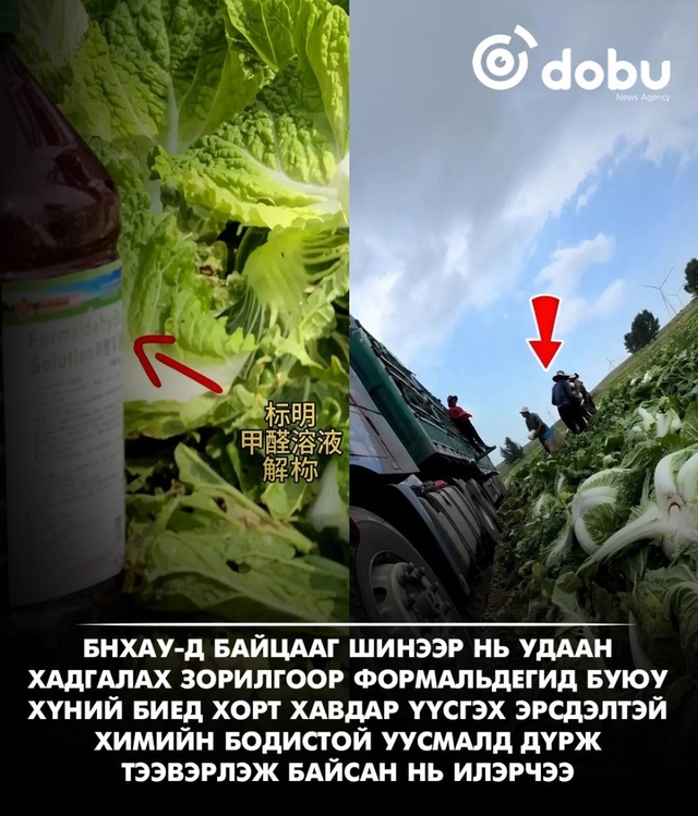 Хятадад байцааг химийн хорт бодист дүрж тээвэрлэж байсан нь илэрчээ