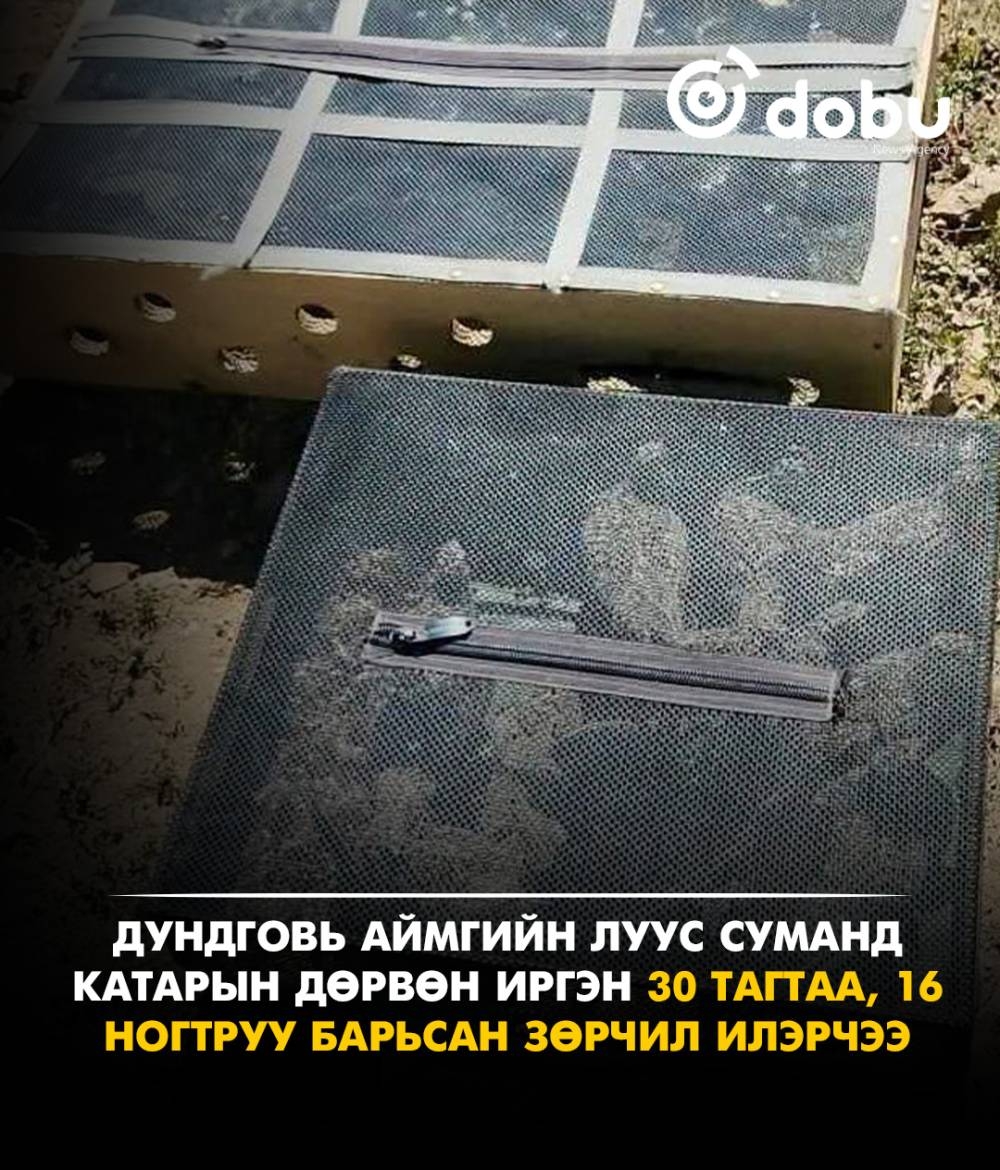 Дундговь аймгийн Луус сумын нуаг дэвсгэрт шувуу барьсан асуудлыг шалгуулж байна
