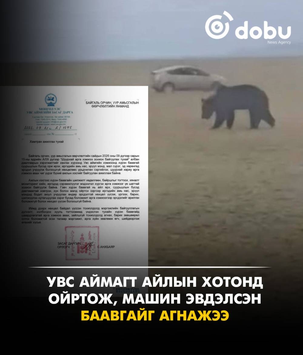Увс аймагт айлын хотонд ойртож, машин эвдэлсэн баавгайг агнажээ