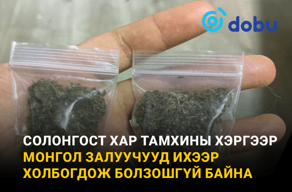 Солонгост хар тамхины хэргээр монгол залуучууд ихээр холбогдож болзошгүй байна