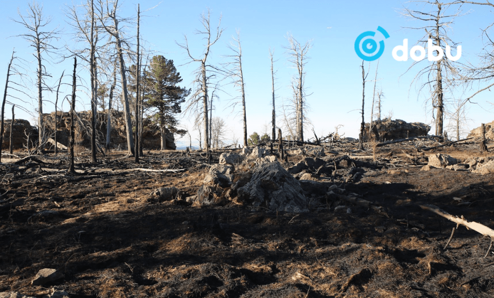 Богдхан ууланд гарсан гал түймрийг 10:30 цагт бүрэн унтраалаа