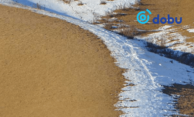 Хүй долоон худаг орчмоос Солонгос иргэний цогцос олджээ