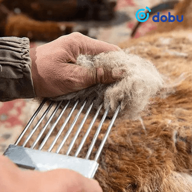 Ноолуур килограмм тутам нь 170-204 мянган төгрөгийн үнэтэй байна