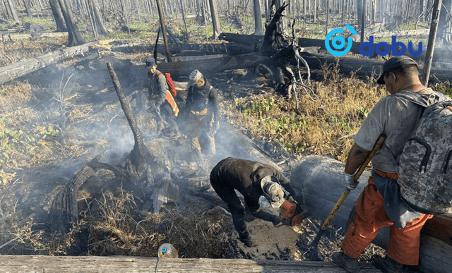 Сэлэнгэ, Увс, Хөвсгөл, Баян-Өлгий аймгуудад гарсан түймрийг бүрэн унтраахаар ажиллаж байна