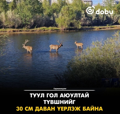 Сэрэмжлүүлэг: Голуудын усны түвшин 15-45 см нэмэгдэж, Туул гол аюултай түвшнийг давжээ