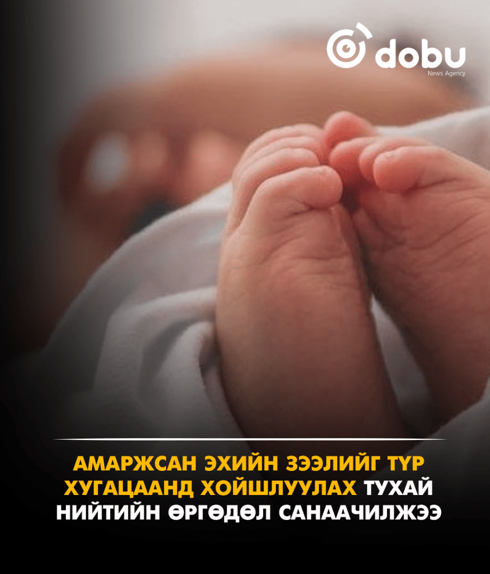 Амаржсан эхийн зээлийг түр хугацаанд хойшлуулах тухай нийтийн өргөдөл санаачилжээ