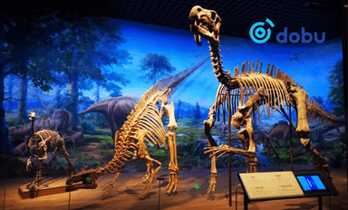 Маргаашаас иргэд музейгээр үнэгүй үйлчүүлнэ