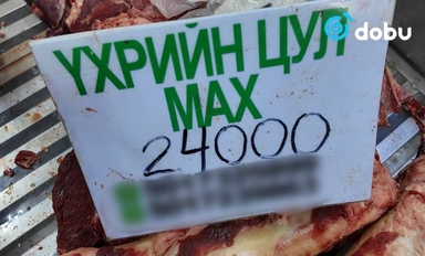 Хүчит шонхор захад үхрийн зах 24 мянган төгрөгт хүрчээ