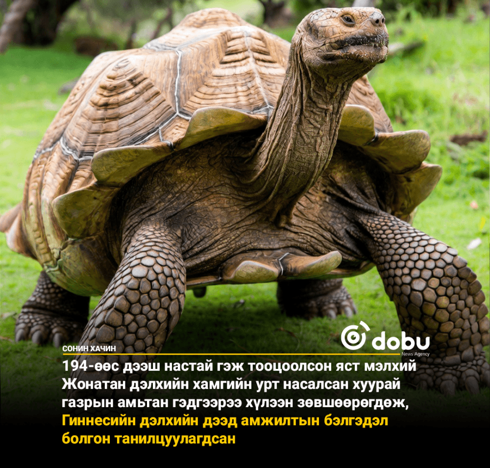 Жонатан Хатан хаан Викториягийн эрин үе эхлэхээс өмнө төрсөн