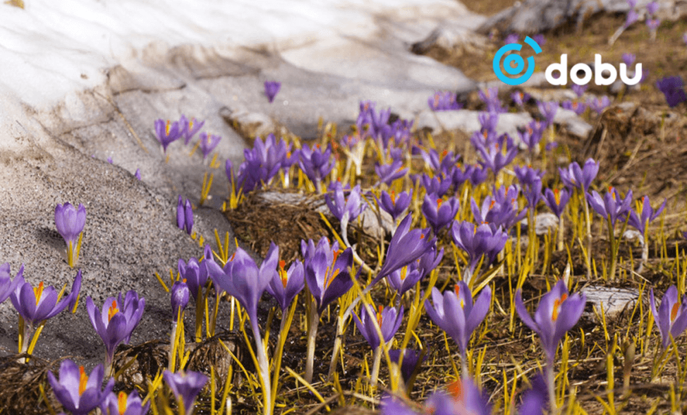 ЦАГ АГААР: Ойрын өдрүүдэд ихэнх нутгаар дулаарна