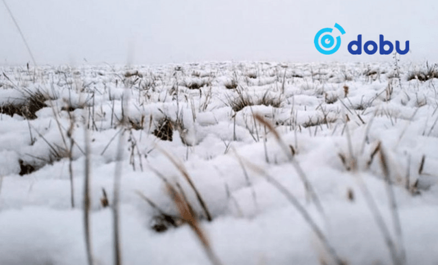 ЦАГ АГААР: Баруун болон төв, говийн аймгуудын нутгаар бороо, нойтон цас орно