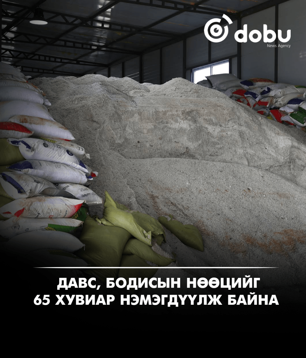 Б.Болормаа: Давс, бодисын нөөцийг 65 хувиар нэмэгдүүлж байна