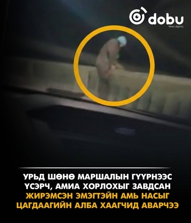 Маршалын гүүрнээс үсрэхийг завдсан жирэмсэн эмэгтэйн амь насыг аварчээ