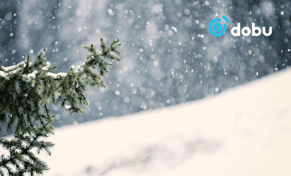 Монгол-Алтайн уулсаар нойтон цас орно