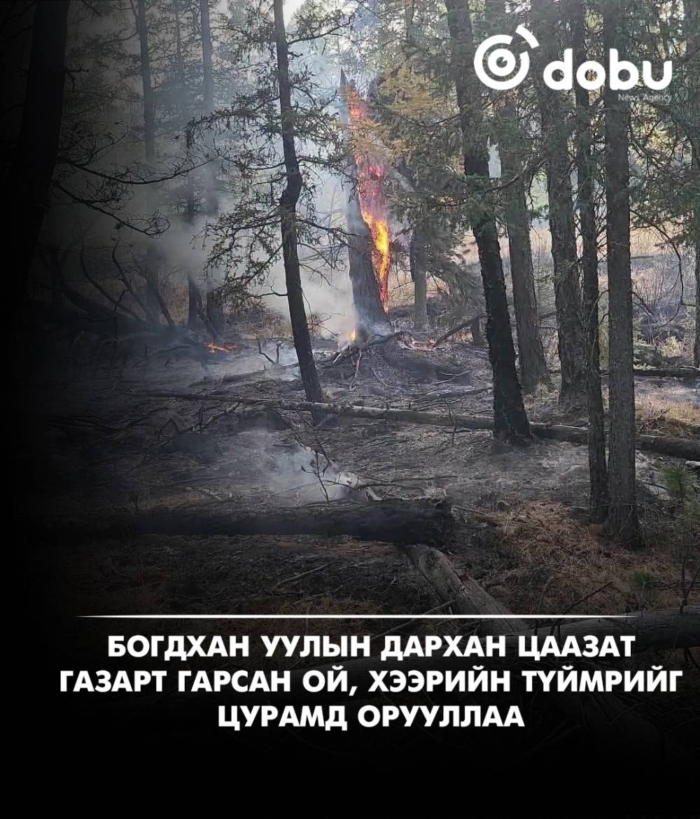 Богдхан ууланд гарсан ой, хээрийн түймрийг цурамд орууллаа